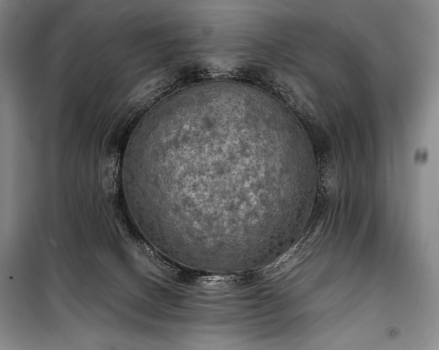 X0000100310082200806121050