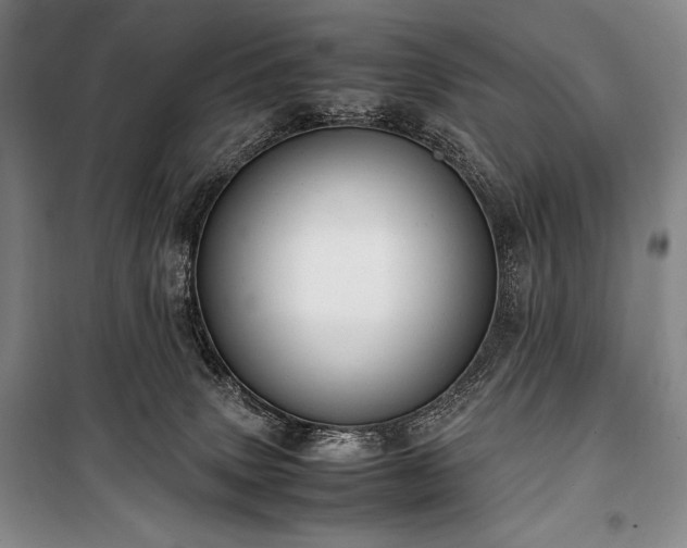 X0000100310083200806121050