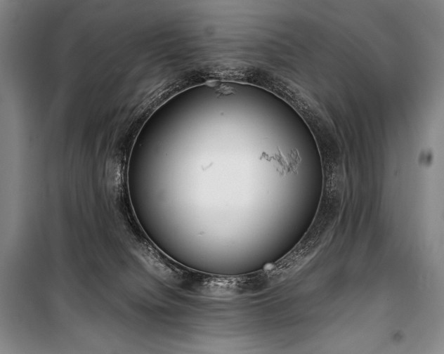 X0000100310084200806121050