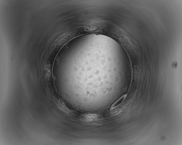 X0000100310085200806121050