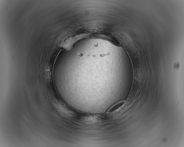 X0000100310086200806121050