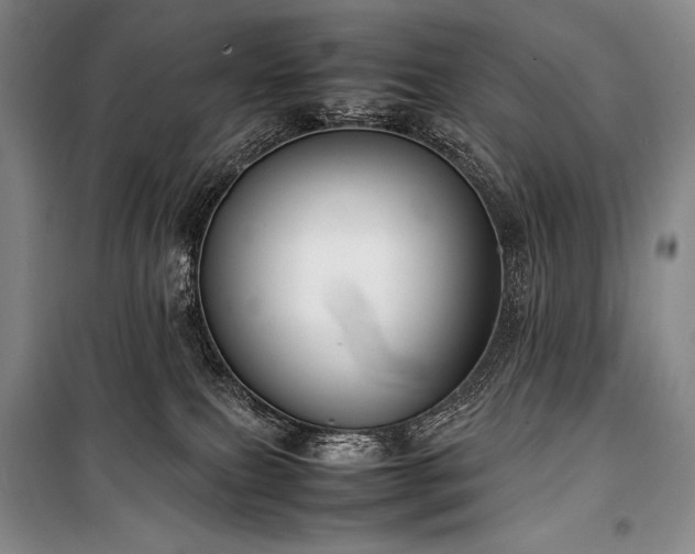 X0000100310087200806121050