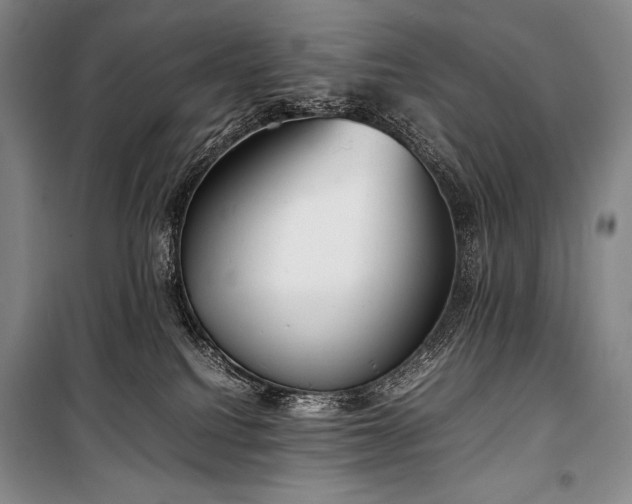 X0000100310088200806121050