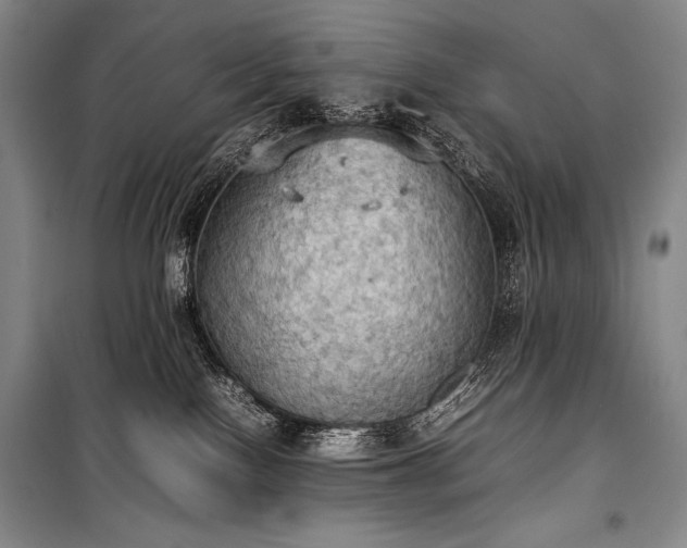 X0000100310090200806121050