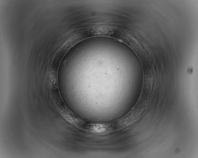 X0000100310091200806121050