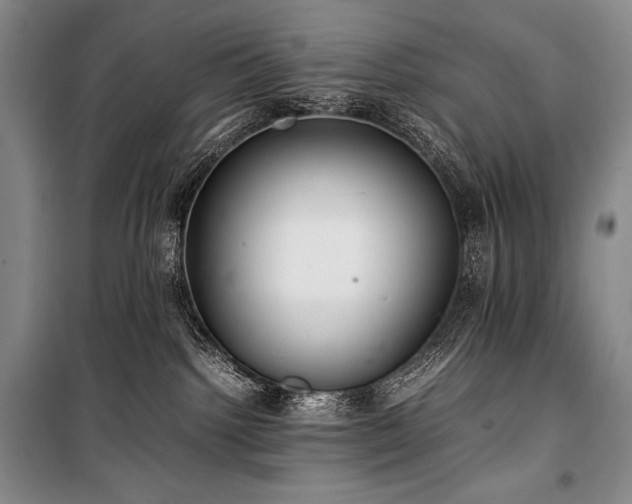 X0000100310092200806121050