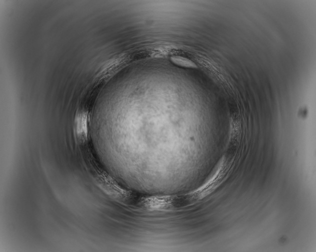 X0000100310094200806121050