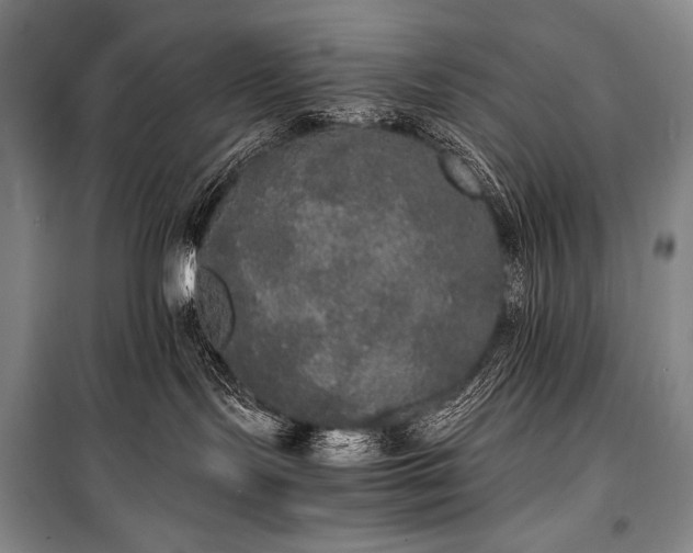 X0000100310095200806121050