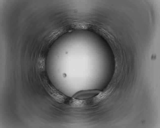X0000100310096200806121050