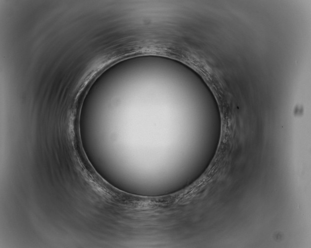 X0000100310098200806121050