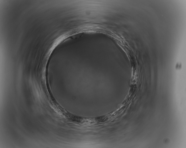 X0000100310099200806121050