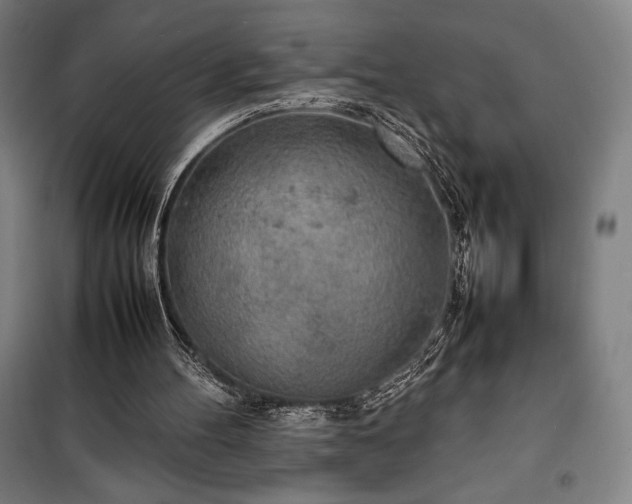 X0000100310100200806121050