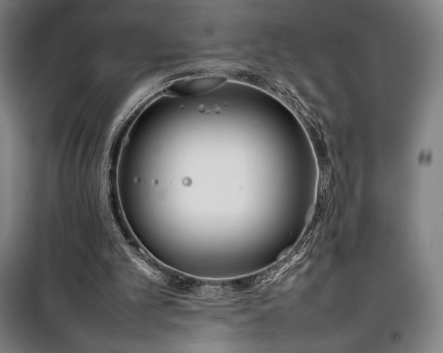 X0000100310101200806121050