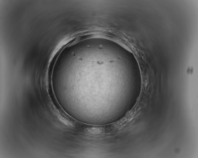 X0000100310102200806121050