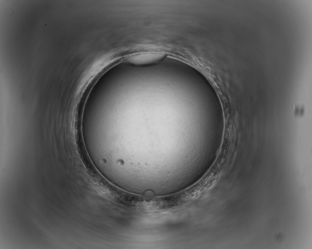 X0000100310103200806121050
