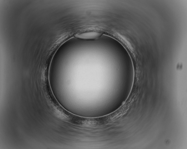 X0000100310105200806121050