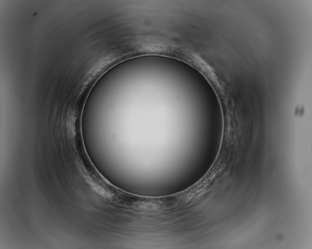 X0000100310106200806121050