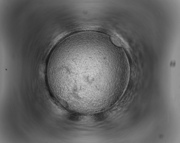 X0000100310107200806121050