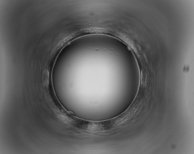 X0000100310109200806121050
