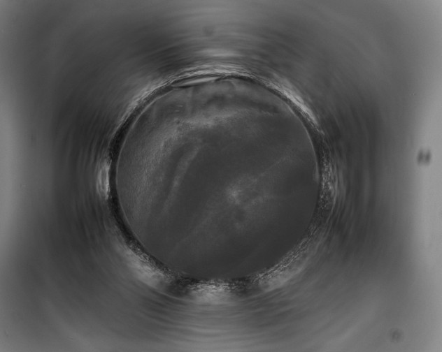 X0000100310110200806121050