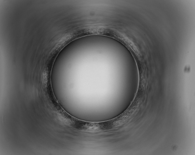 X0000100310113200806121049