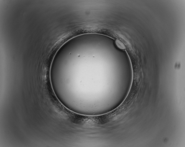 X0000100310115200806121049