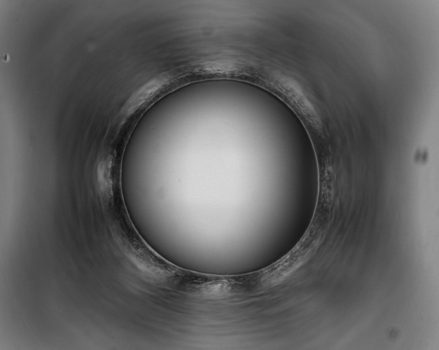 X0000100310116200806121049