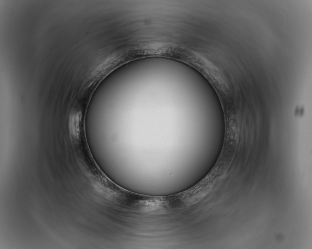 X0000100310118200806121049