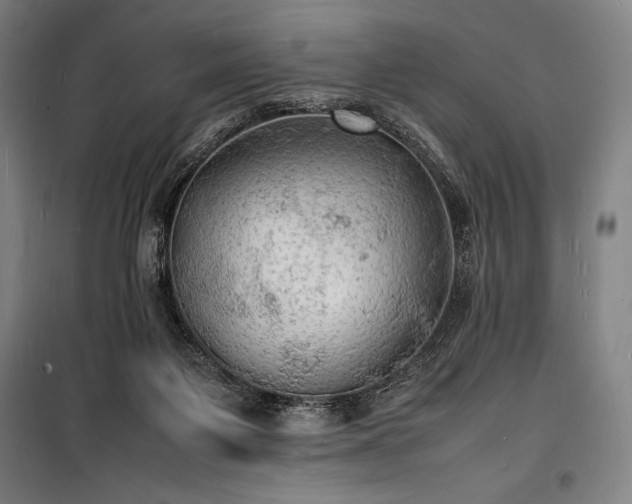 X0000100310119200806121049