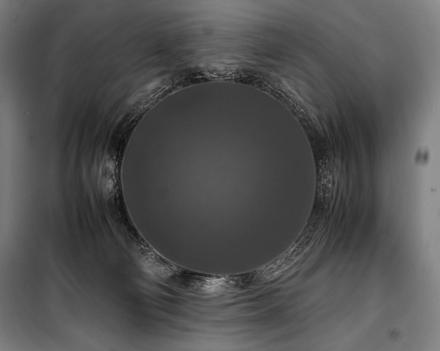 X0000100310130200806121049