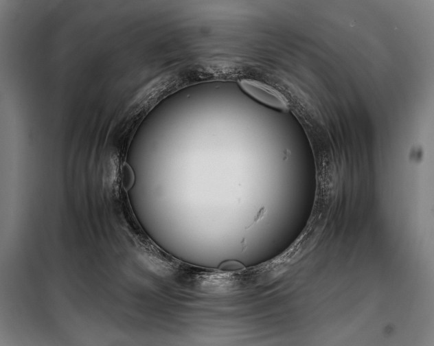 X0000100310132200806121049