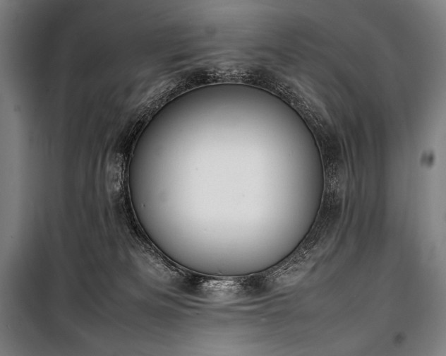 X0000100310133200806121049