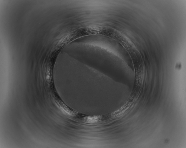 X0000100310134200806121049