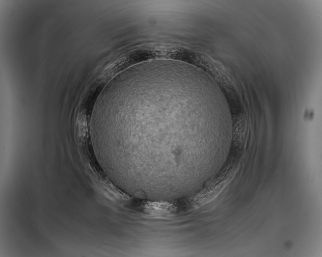 X0000100310137200806121049