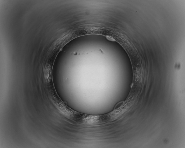 X0000100310138200806121049