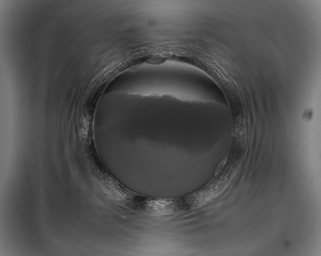 X0000100310139200806121049