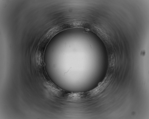 X0000100310140200806121049