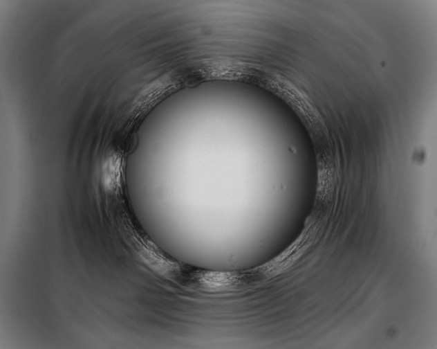X0000100310142200806121049