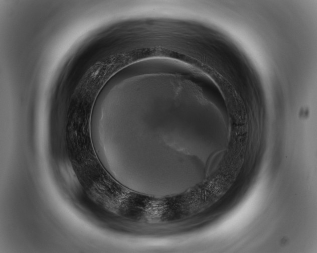 X0000100310143200806121049