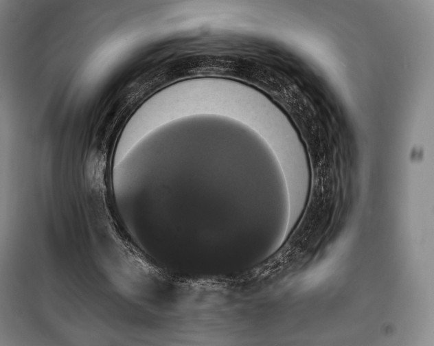 X0000100310146200806121048