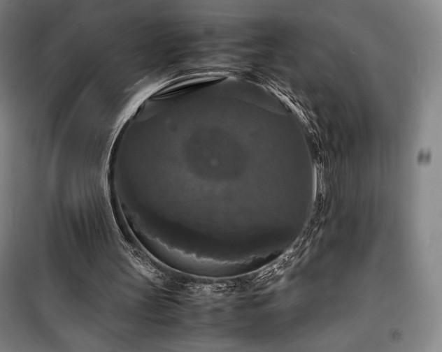 X0000100310147200806121048