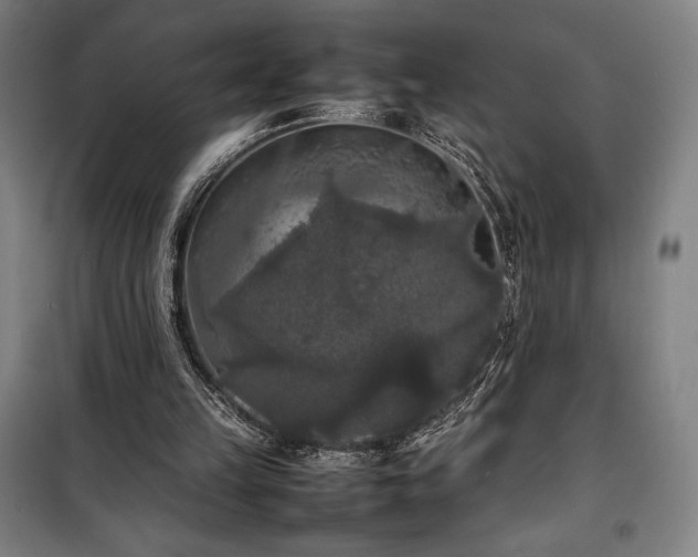 X0000100310149200806121048