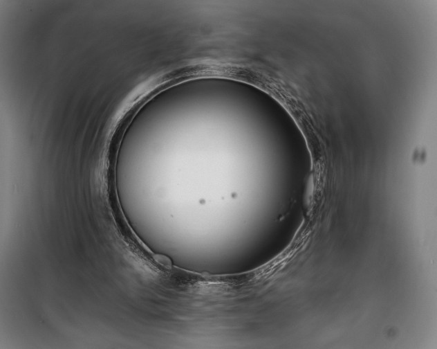 X0000100310150200806121048