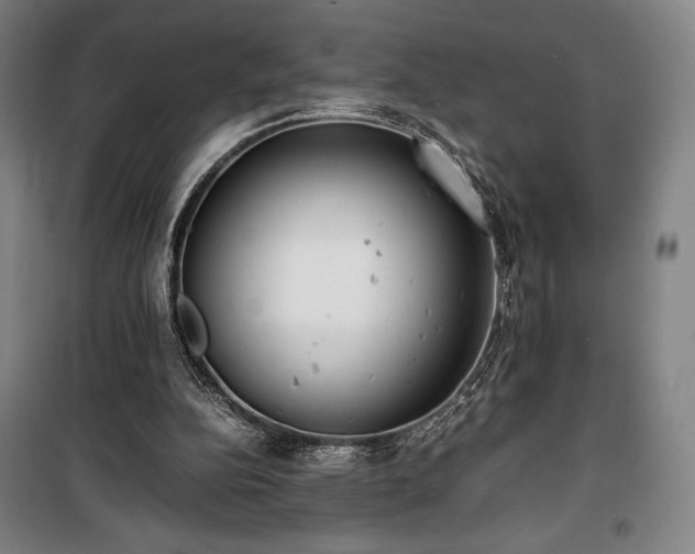 X0000100310152200806121048