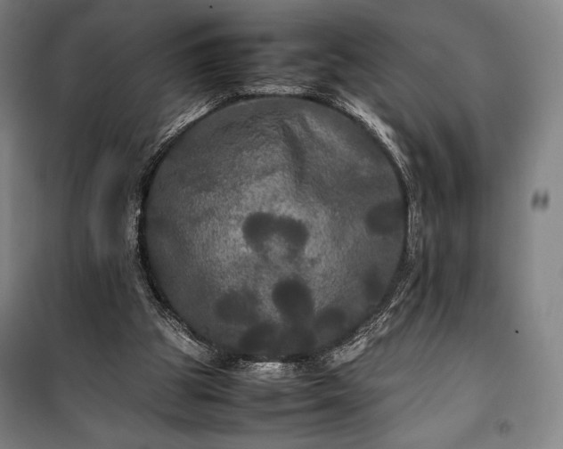 X0000100310153200806121048