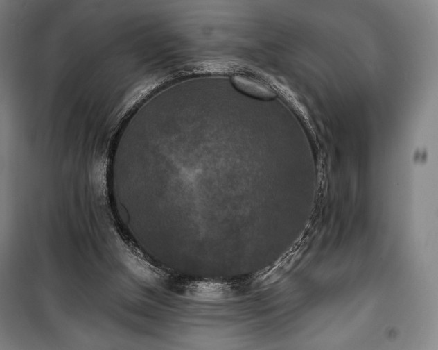 X0000100310154200806121048