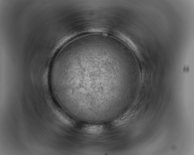 X0000100310155200806121048