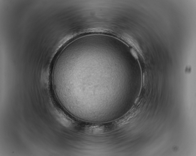 X0000100310156200806121048