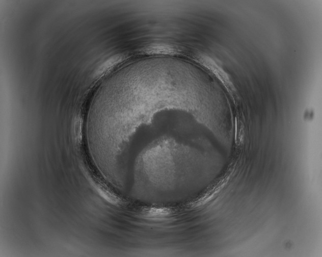 X0000100310157200806121048