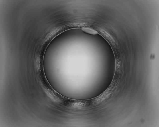 X0000100310158200806121048